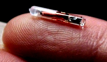 Microchip image