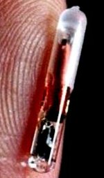 Microchip Obligatorio