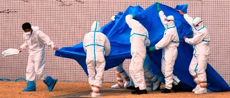 Trasplantes de celulas madre