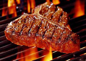 Vea a los perros que dan Gracias por la comida