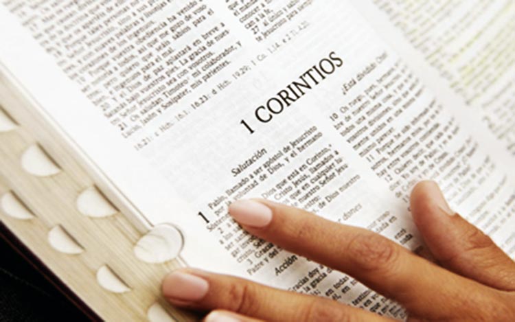 Como Empezar A Leer La Biblia Catolica