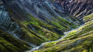 biblia de forma milagrosa