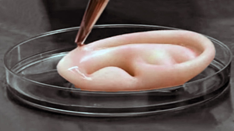 Cuerpo humano, la obra maestra original en impresión en 3D?